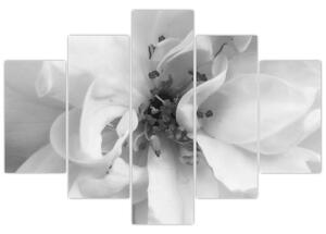 Slika - Cvijet, crno-bijela (150x105 cm)