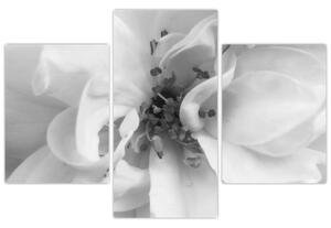 Slika - Cvijet, crno-bijela (90x60 cm)