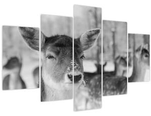 Slika - Bambi, crno-bijela (150x105 cm)