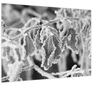 Slika - Smrznuto lišće, crno-bijela (70x50 cm)