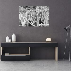 Slika - Smrznuto lišće, crno-bijela (90x60 cm)