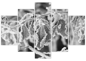 Slika - Smrznuto lišće, crno-bijela (150x105 cm)