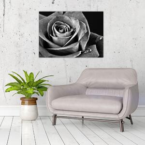 Slika - Ruža, crno-bijela (70x50 cm)