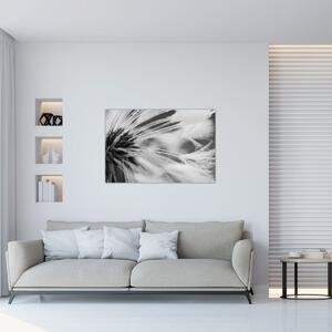 Slika - Makro, crno-bijela (90x60 cm)