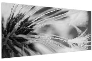 Slika - Makro, crno-bijela (120x50 cm)