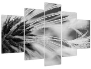 Slika - Makro, crno-bijela (150x105 cm)