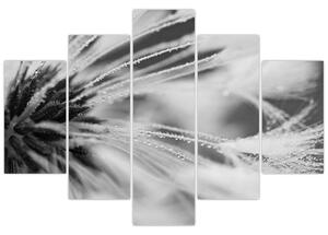 Slika - Makro, crno-bijela (150x105 cm)