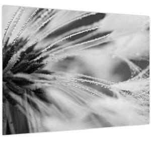 Slika - Makro, crno-bijela (70x50 cm)