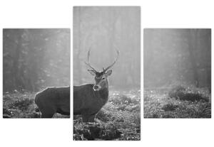 Slika - Jelen u šumi, crno-bijela (90x60 cm)