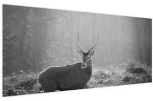 Slika - Jelen u šumi, crno-bijela (120x50 cm)