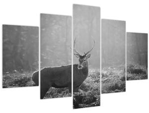 Slika - Jelen u šumi, crno-bijela (150x105 cm)