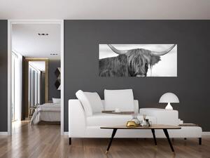 Slika - Škotska krava 2, crno-bijela (120x50 cm)