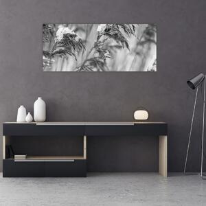 Slika - Lipnice, crno-bijela (120x50 cm)
