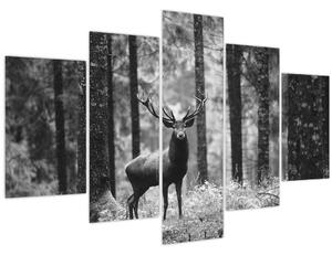 Slika - Jelen u šumi 2, crno-bijela (150x105 cm)