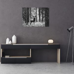 Slika - Jelen u šumi 2, crno-bijela (70x50 cm)