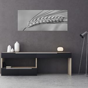 Slika - Pšenica, crno-bijela (120x50 cm)