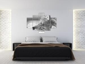 Slika - Vuk, crno-bijela (150x105 cm)