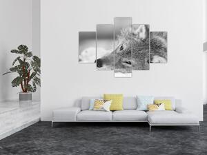 Slika - Vuk, crno-bijela (150x105 cm)