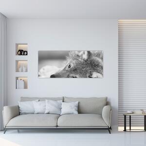Slika - Vuk, crno-bijela (120x50 cm)