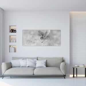 Slika - Sova, crno-bijela (120x50 cm)
