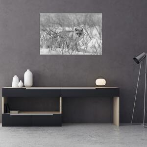 Slika - Lisac, crno-bijela (90x60 cm)