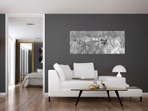 Slika - Lisac, crno-bijela (120x50 cm)