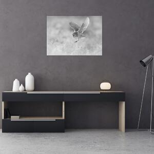 Slika - Sova, crno-bijela (70x50 cm)