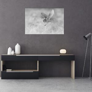 Slika - Sova, crno-bijela (90x60 cm)