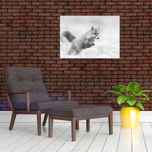 Slika - Lisica koja skače, crno-bijela (70x50 cm)