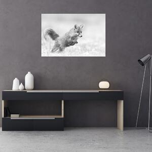 Slika - Lisica koja skače, crno-bijela (90x60 cm)