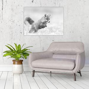 Slika - Lisica koja skače, crno-bijela (70x50 cm)