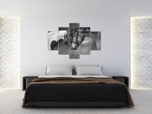 Slika - Zaljubljeni konji, crno-bijela (150x105 cm)