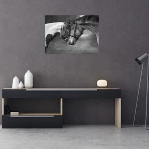 Slika - Zaljubljeni konji, crno-bijela (70x50 cm)
