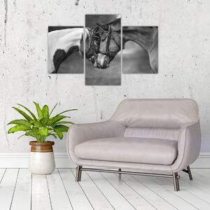 Slika - Zaljubljeni konji, crno-bijela (90x60 cm)