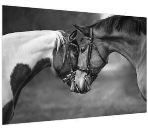 Slika - Zaljubljeni konji, crno-bijela (90x60 cm)