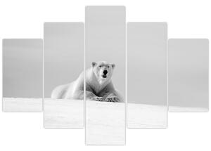 Slika - Polarni medvjed, crno-bijela (150x105 cm)