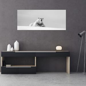 Slika - Polarni medvjed, crno-bijela (120x50 cm)