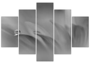 Slika - Kap na cvijetu, crno-bijela (150x105 cm)