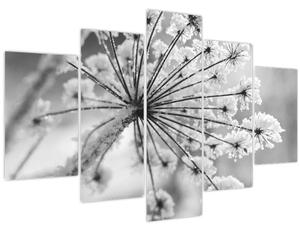 Slika - Cvijet zimi (150x105 cm)