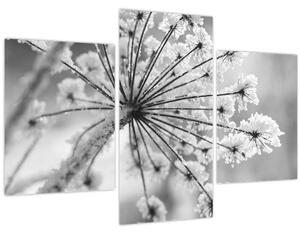 Slika - Cvijet zimi (90x60 cm)