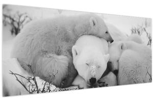 Slika - Polarni medvjedi (120x50 cm)