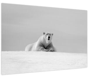 Slika - polarni medvjed (90x60 cm)