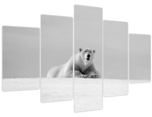 Slika - polarni medvjed (150x105 cm)
