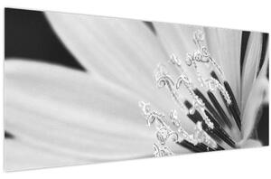 Slika - Crno-bijeli cvijet (120x50 cm)