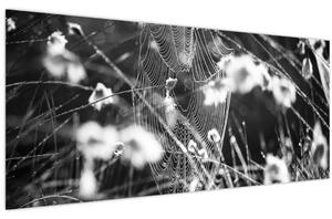 Slika - Paukova mreža na livadi (120x50 cm)