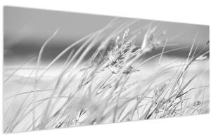 Slika - Trava za plažu (120x50 cm)