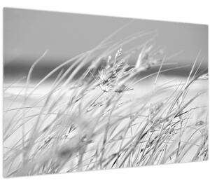 Slika - Trava za plažu (90x60 cm)
