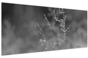 Slika - Seoska livada (120x50 cm)
