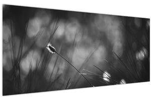 Slika - Livadarka (120x50 cm)