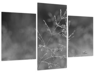 Slika - Seoska livada (90x60 cm)